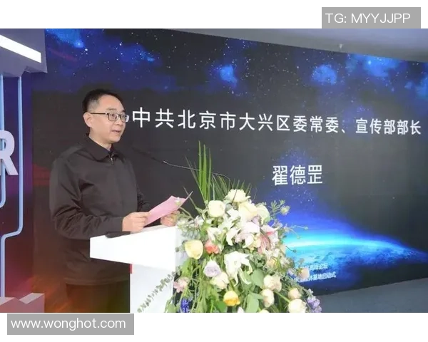 北京排球队战术解析与未来发展方向的深度探讨